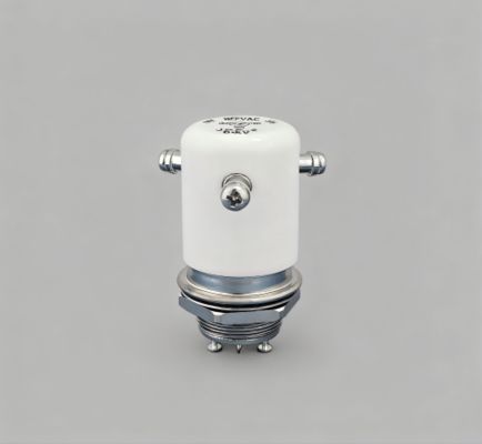 comprar JPK-2-WP Relé de alta tensão DC15KV Carregar corrente de 50A Relé de vácuo Voltagem da bobina do interruptor 24 VDC 12VDC online manufacture