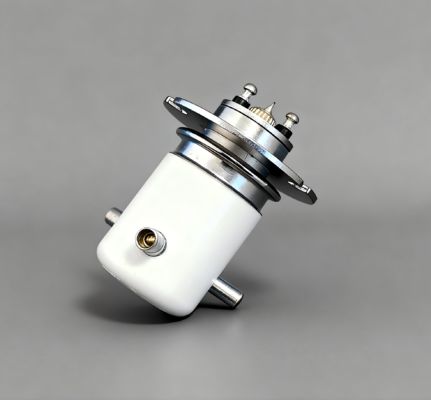 comprar relé de alta tensão do vácuo da C.C. 15KV para a utilização da C.C. ou do interruptor da alimentação CA online manufacture