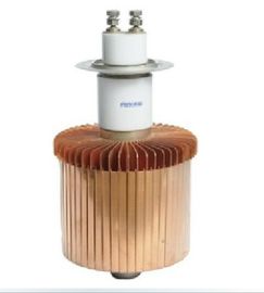 comprar O elemento do tubo de elétrons do vácuo de FU3069F para o aquecimento de indução substitui E3069 online manufacture